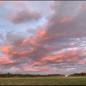 Meet your Posher, Logan